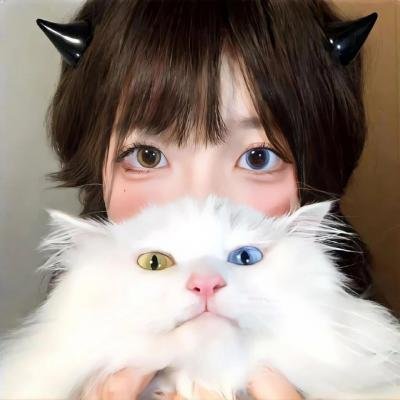 山水之上